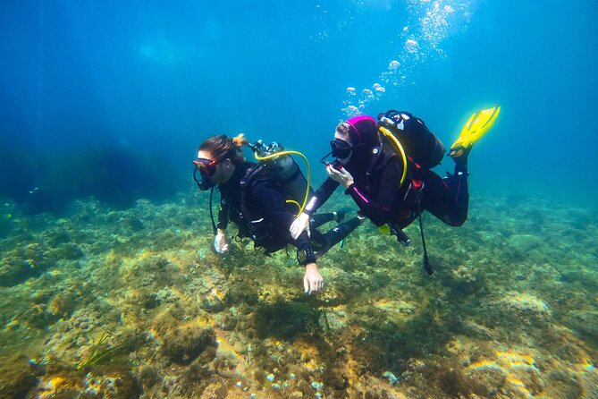 First Dive 60 Minutes in Saint-Raphaël - Reviews and Ratings