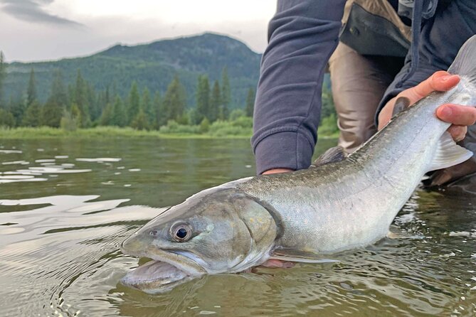 Fishing Adventure in Whistler - Cancellation Policy and Refunds