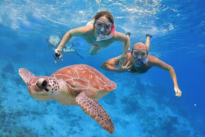 Fishing and Snorkeling Boat Trip - Snorkeling and Swimming