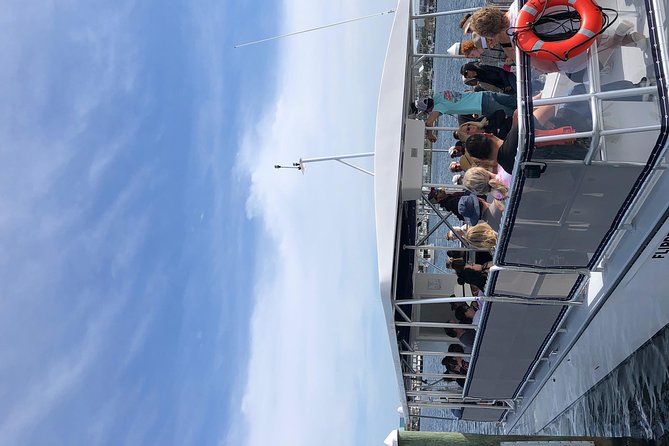 Flippers Adventures Dolphin Cruise - Directions