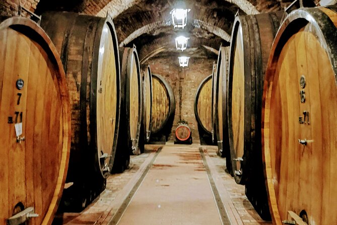 Florence to Montalcino and Montepulciano: Wine Tour With Lunch - Positive Experiences and Feedback
