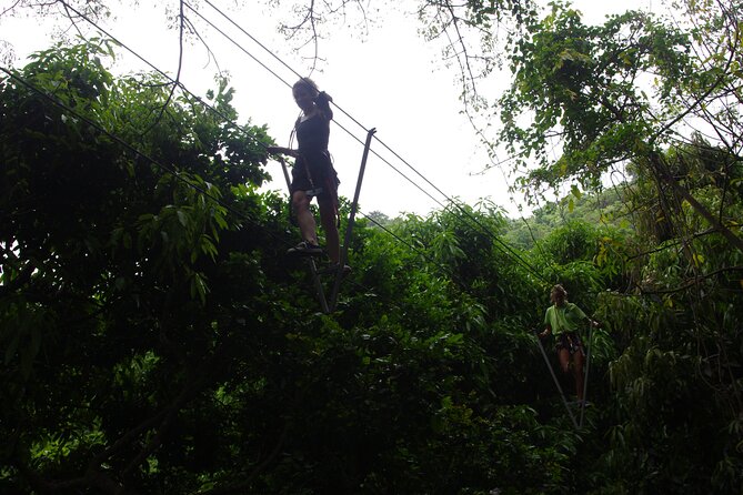 Fly Zone Treetop Zip Line Adventure at Loterie Farm - The Sum Up