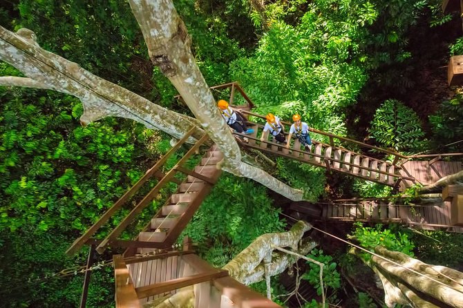 Flying Hanuman Ziplines 42 Platforms With Meal & Transfer Roundtrips - Convenient Roundtrip Transfers