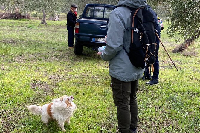 Food and Wine Tour Between the Patriarchs Olives and the Oil Temples - Traveler Photos