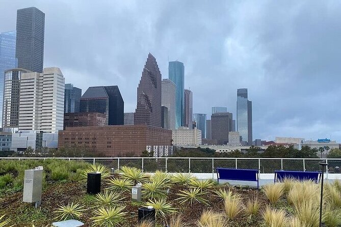 Food Walking Tour in Houston Montrose - Meeting Point