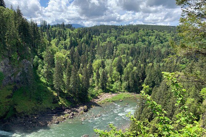 Forest Hike to Gorgeous Twin and Snoqualmie Falls - Value for Money and Enjoyment