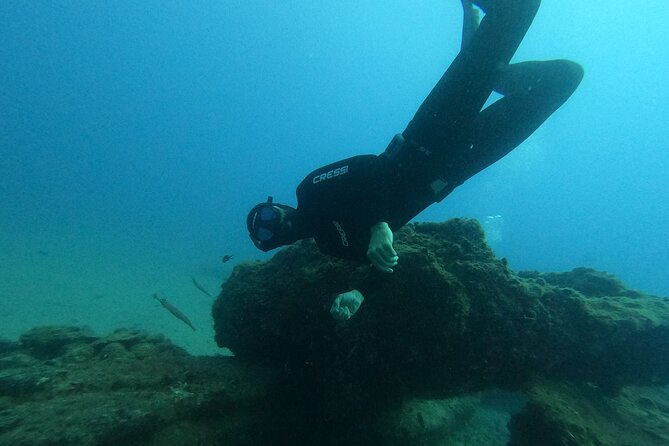 Freediving Activity in Fuerteventura With Pickup - Booking and Reservation Process
