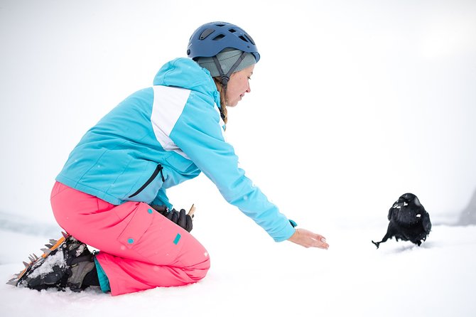 Freysnes Small-Group Half-Day Glacier Hike With Photos  - Hofn - Additional Information and Cancellation Policy