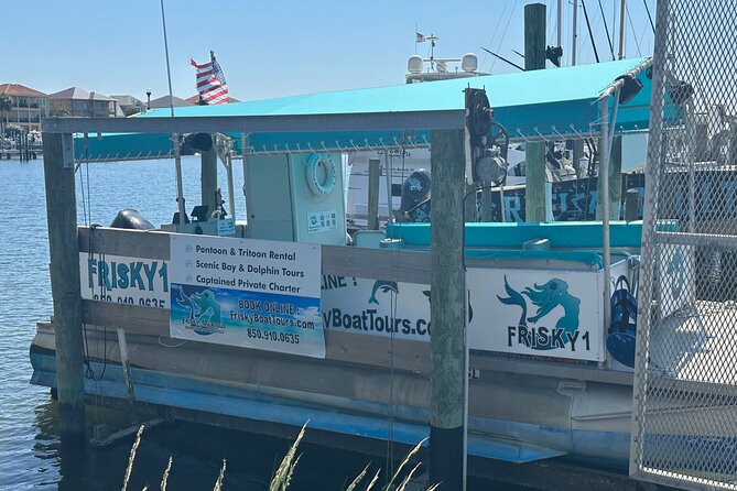 Frisky Mermaid Dolphin Tour Secluded Beach Equip - Customer Reviews and Ratings