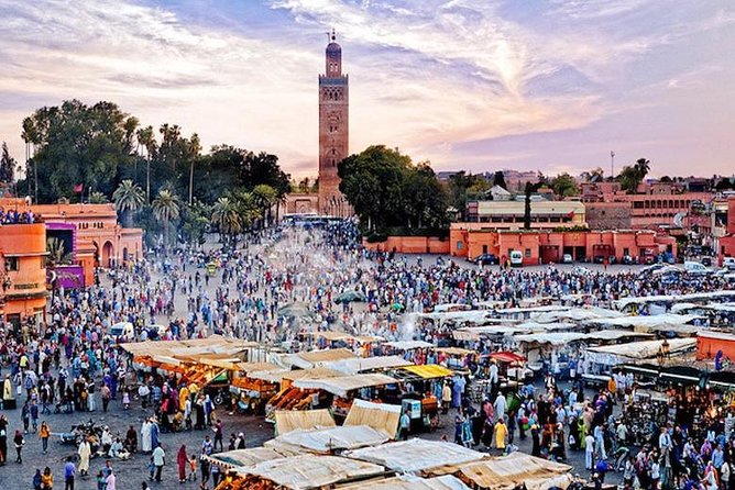 From Agadir or Taghazout: Guided Marrakech Day Trip - Hotel Pickup and Drop-Off Details