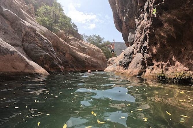 From Agadir or Taghazout: Paradise Valley & Atlas Mountains Tour - Convenient Pickup Service