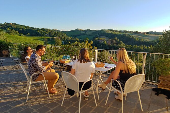 From Bologna: Wine Tasting and Vineyard Tour With the Winemaker - Morning or Afternoon Tour Options