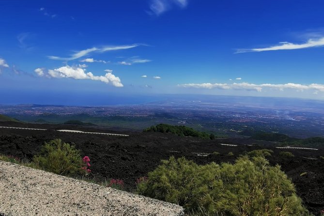 From Catania: Private Mt. Etna Trekking and Pic-Nic - The Sum Up