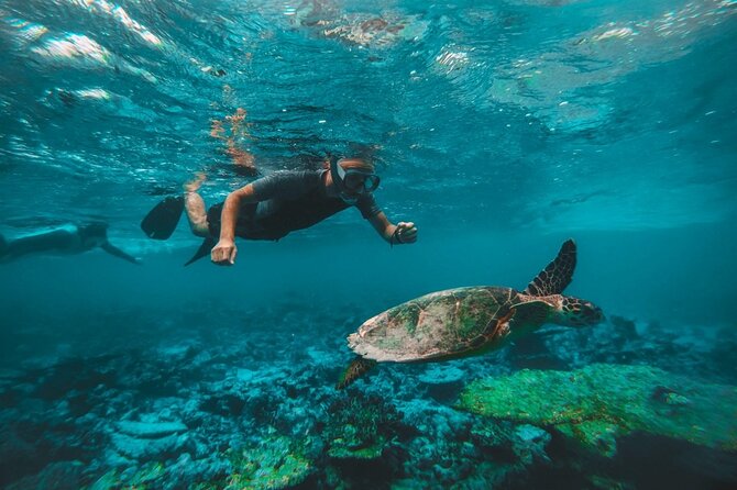 From Dubai: Snorkeling Trip in Fujairah - Family-Friendly Tour, No Experience Required