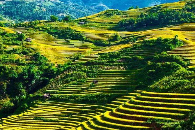 From Ha Giang: Dong Van Loop Car Tour - 3 Days 2 Nights - Reviews and Ratings