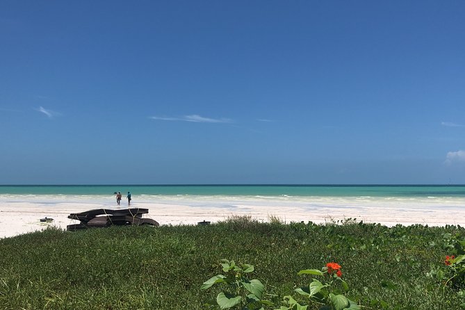 From Holbox to Cancun Private Transportation - Pickup Details