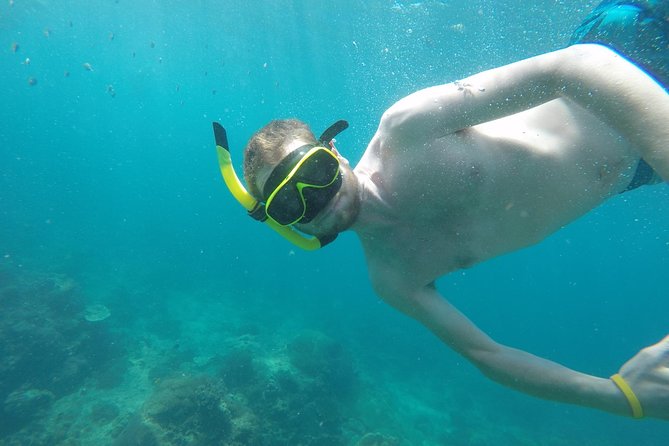 From Khao Lak or Khok Kloi : Phi Phi Islands Adventure Day Trip With Lunch - Additional Information