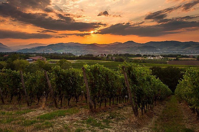 From Parma: Parmigiano,Prosciutto and Winery Tour and Tasting - Exploring the Charming City of Parma