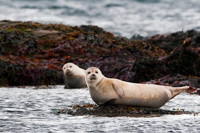 From Reykjavík: 4, 5, 6 or 7-Day Small-Group Ring Road Tour - Cancellation Policy and Refund Details