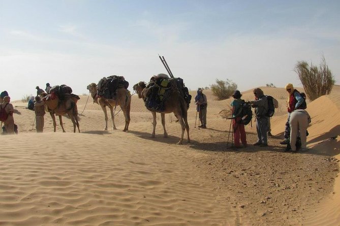 From Tozeur: 3-Day Desert Trip - Cancellation Policy