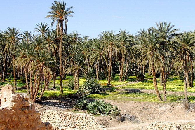 From Tunis: Star Wars 5 Day Tour - Pricing and Booking Information