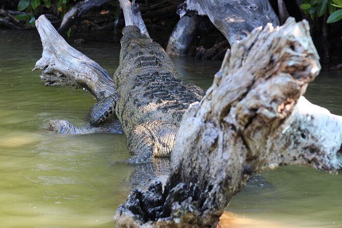 From Valladolid:Rio Lagartoscoloradasek Balamcenote(Transport) - Traveler Reviews
