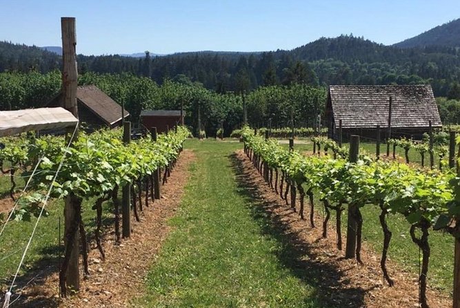 From Victoria to Cowichan Wine 6-Hour Guided Tour - Common Questions