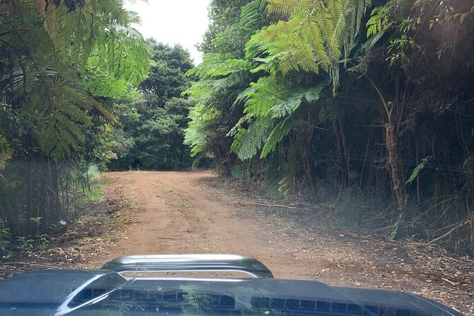 Full Day 4x4 Jeep Safari in Santana - Essential Information and Booking Details