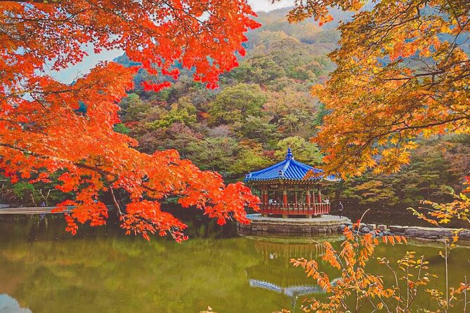 Full-Day Adventure Guided Tour From Busan to Mt Naejang - The Sum Up