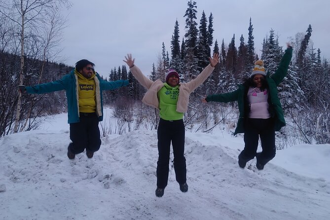 Full Day Arctic Circle Tour - Pickup Points and Start Time