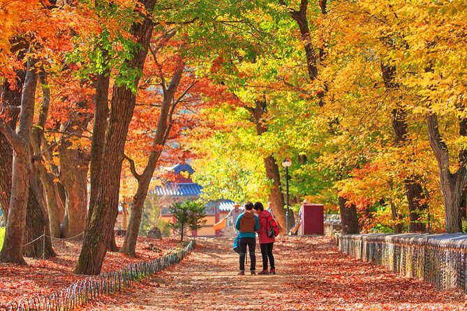 Full-Day Autumn Tour From Busan to Unmunsa Bhikkhuni Temple - Contact Information