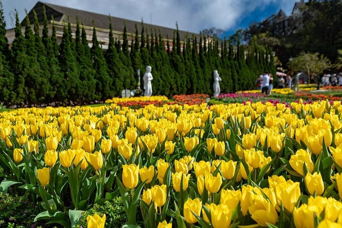 Full Day Ba Na Hill With Cable Car and Lunch From Da Nang - Directions