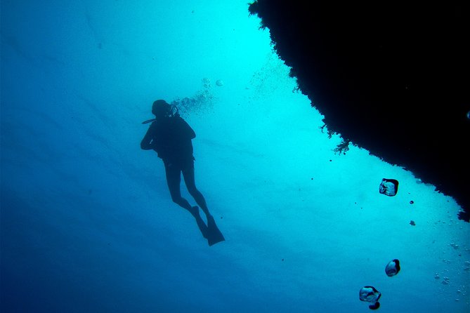 Full-Day Beginners Scuba Diving Course, Rhodes - Reviews and Safety Measures