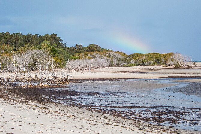 Full Day Birdlife Tour in Bribie Island - Common Questions
