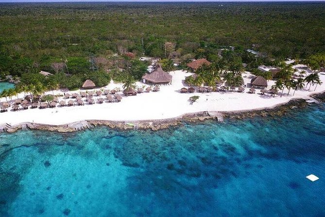 Full Day Cozumel Island Tour With Ferry, Snorkel, Virgin Beach, Buggy and Lunch - Traveler Reviews and Ratings
