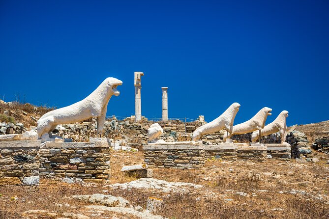 Full Day Cruise to Delos and Rhenia Islands With Lunch - Mykonos - Viator Help Center and Product Code