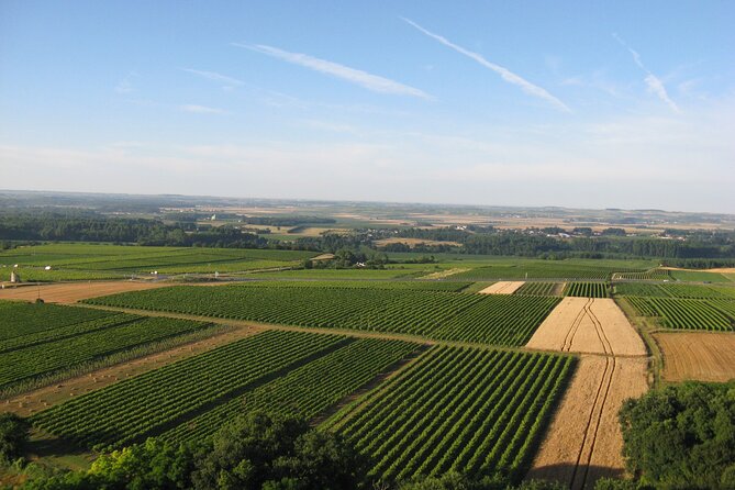 Full Day Discovering Cognac From Bordeaux - The Sum Up