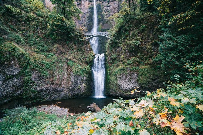 Full Day Gorge Waterfalls and Wine (Tasting Fees Included) - Directions and How to Book