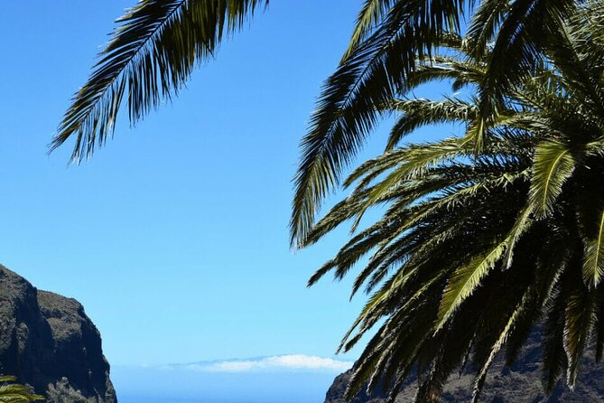 Full-day Guided Bus Tour to Mt. Teide and the Towns of Icod, Garachico, Masca - Suggestions for Improvement