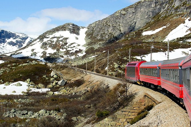 Full Day Guided Roundtrip From Bergen To Sognefjord With Flam Railway - The Sum Up