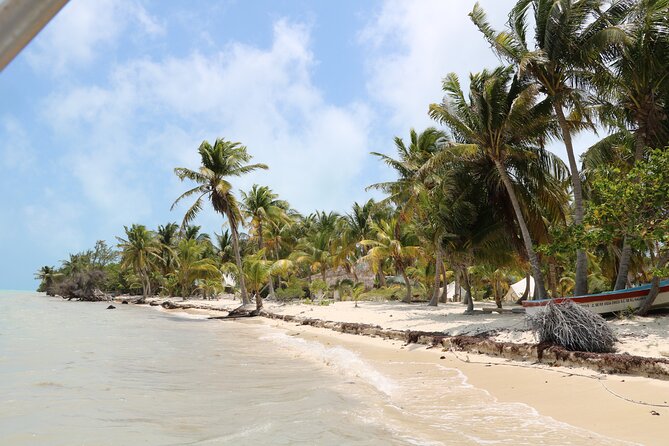 Full Day Guided Tour to Sian Kaan (Short Way) - Traveler Photos and Reviews