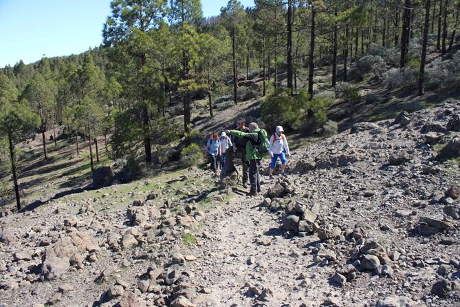 Full Day Hiking Gran Canaria Peaks of Gran Canaria - Reviews