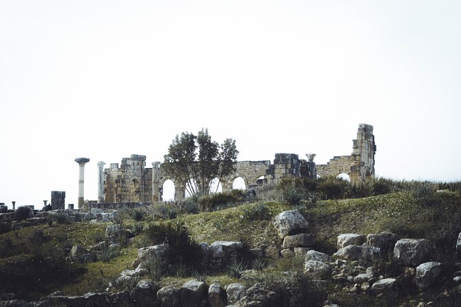 Full-Day Historical Tour to Meknes Volubilis and Moulay Idriss - Local Cuisine and Dining