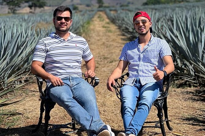 Full Day in Tequila With Tasting and Party in Cantaritos - Visit to Agave Fields