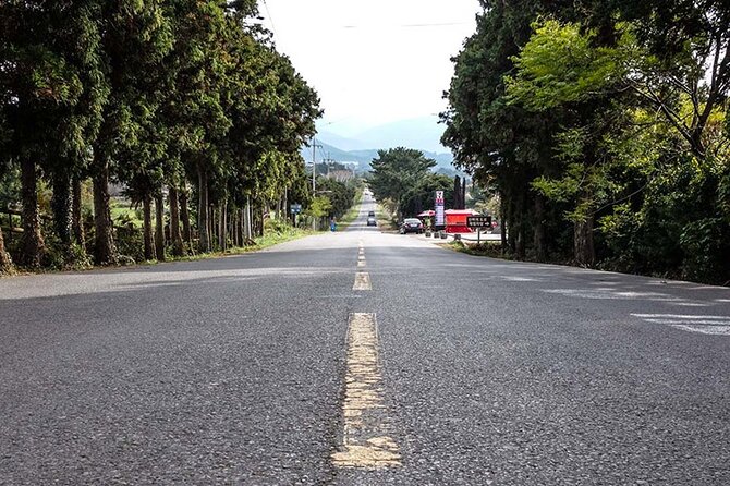 Full-Day Jeju Island SOUTH Tour (Entrance Fee Included) - Important Information