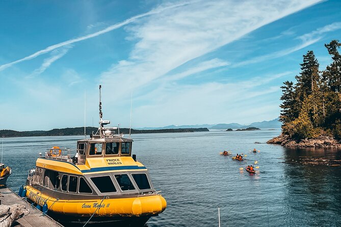 Full Day Kayaking Adventure on Vancouver Island - Safety and Equipment Guidelines