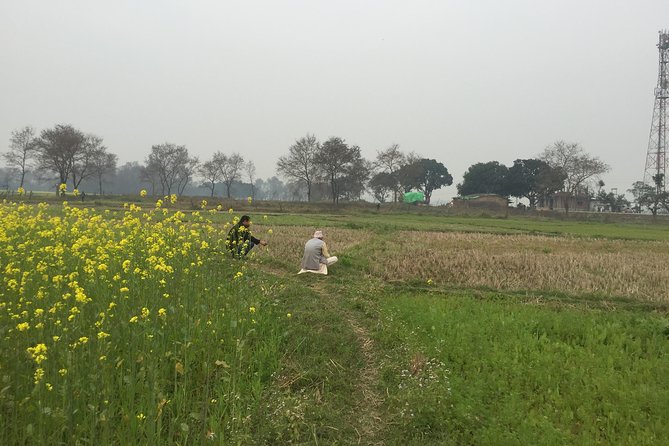 Full Day Lumbini Tour - Questions and Additional Information