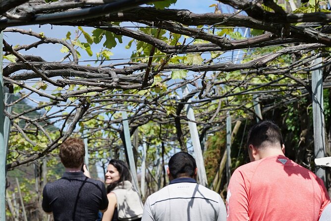 Full-Day Madeira Wine Tasting Tour With Lunch - Sampling Authentic Food and Local Delights