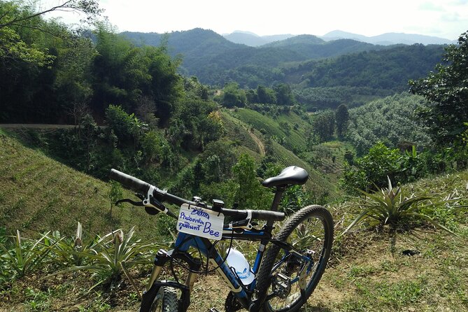 Full Day Mountain Biking to Waterfall and Hot Spring - Picnic Lunch by the Waterfall