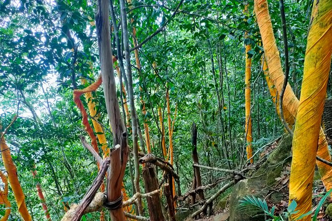 Full Day North of Phu Quoc Island Private Tour by Local Guide - Transportation and Logistics